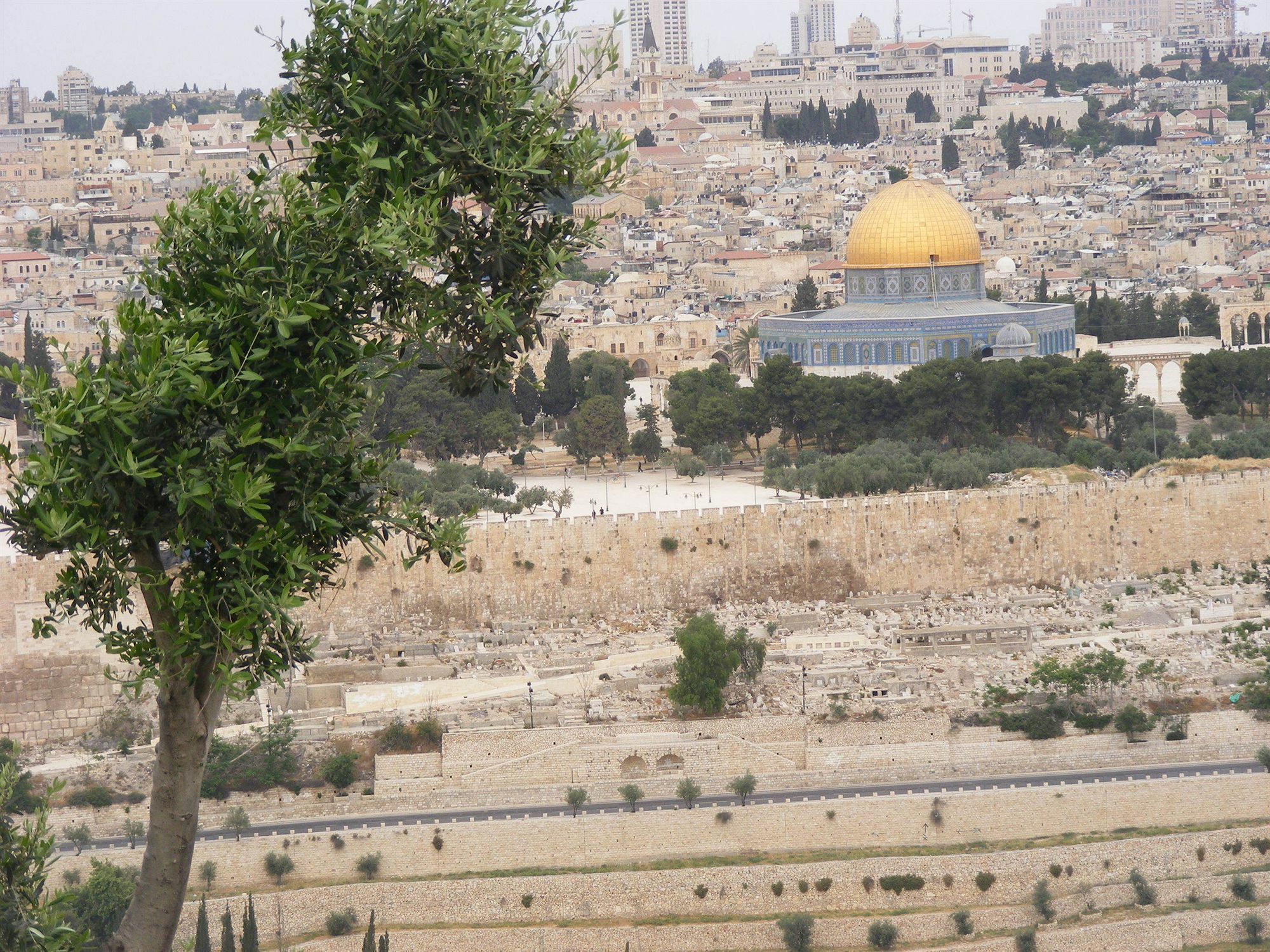 فندق سيفين أرشز القدس المظهر الخارجي الصورة